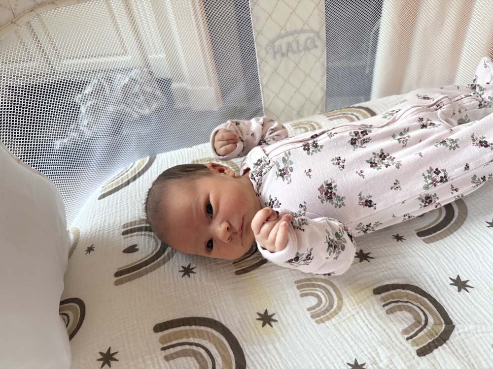 Aria