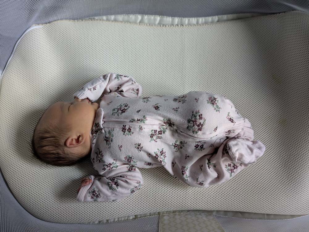 Aria