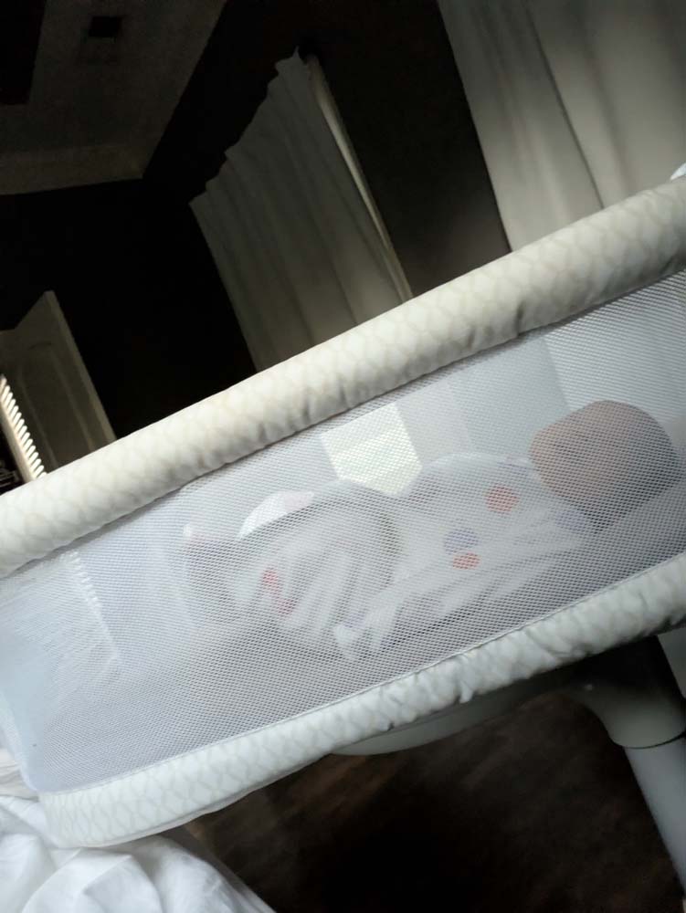 Aria