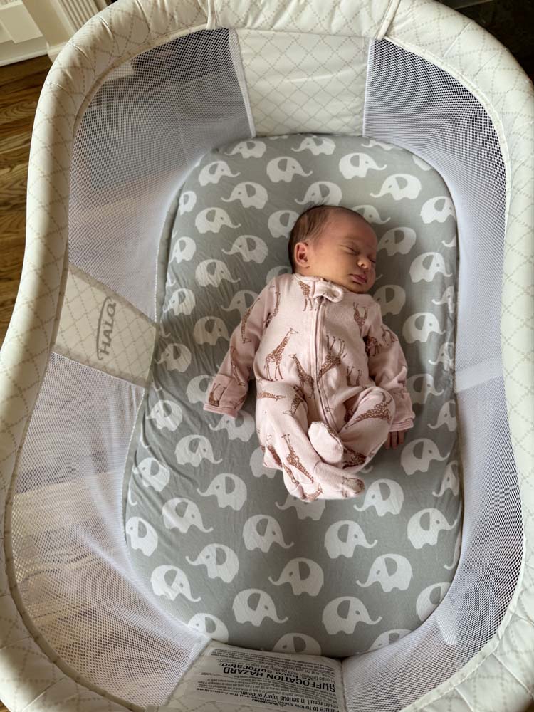 Aria